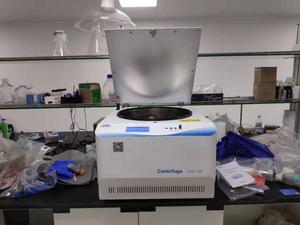 中山大学珠海校区