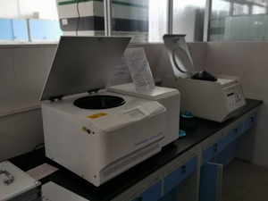 中山大学大学城校区